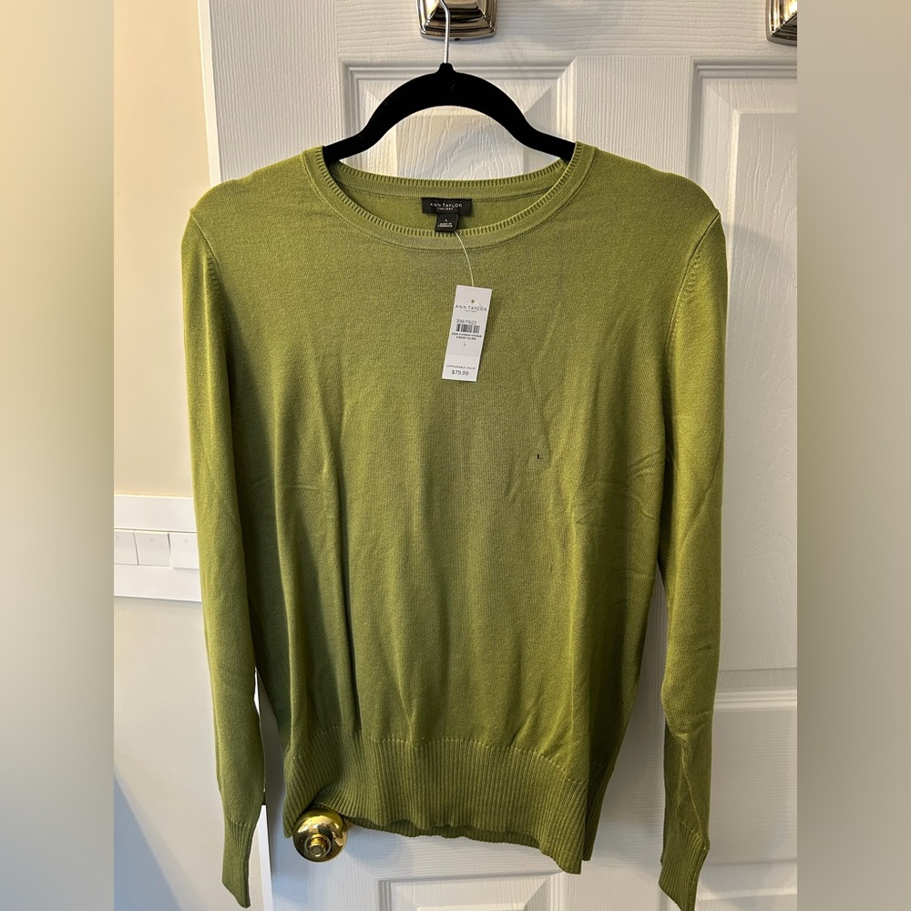 Ann Taylor Green Crewneck Sweater